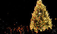 Village Christmas Tree lighting_6901